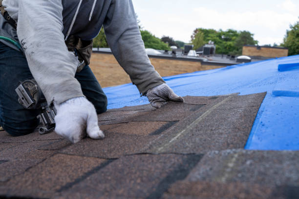 Best Commercial Roofing Services  in Chigan Center, MI